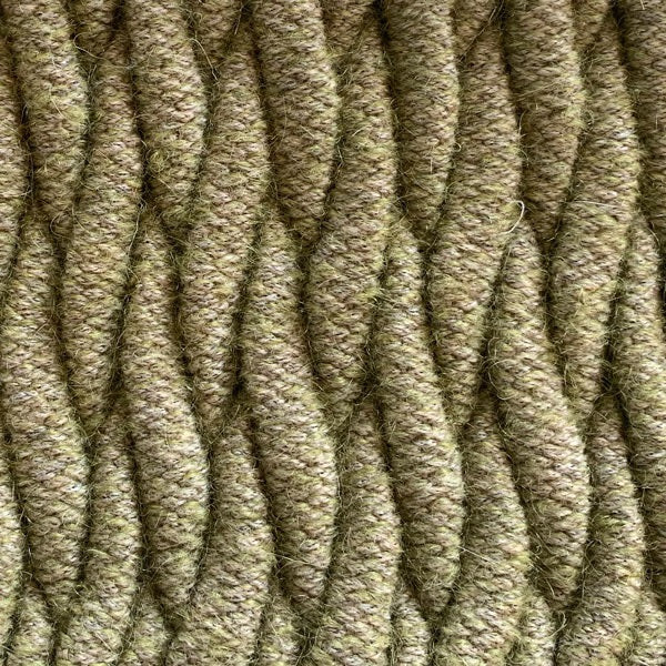 Algae