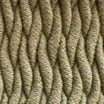Algae